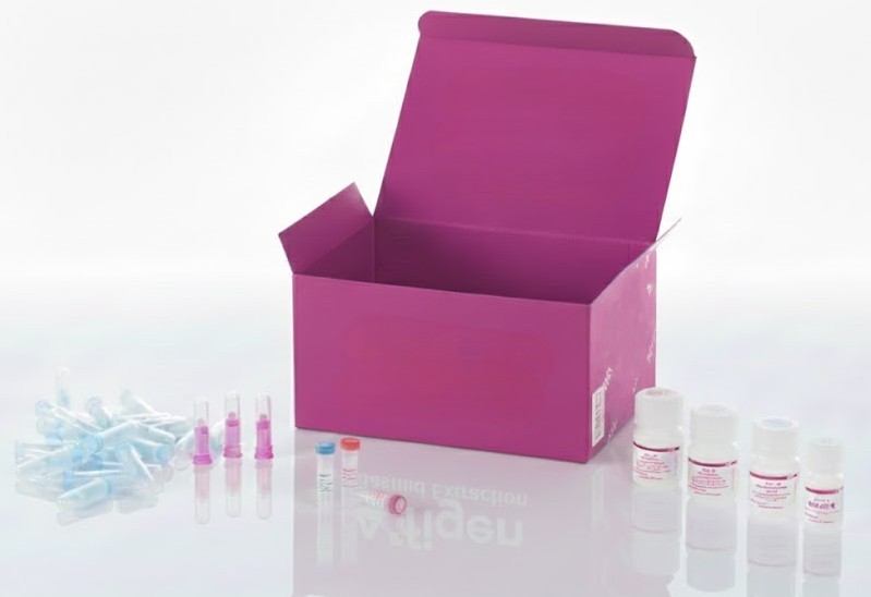 Cáncer de páncreas con cambios progresivos, 48 casos en 96 núcleos (1,5 mm)